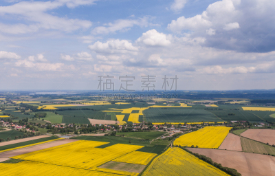 农作物,运动场,航拍视角,天空,高视角,纹理效果,研磨食品,动物身体部位,夏天,都市风景