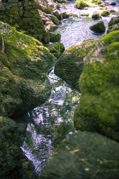 河流,山,自然,季节,垂直画幅,塞尔维亚,图像,花朵,公园,苔藓