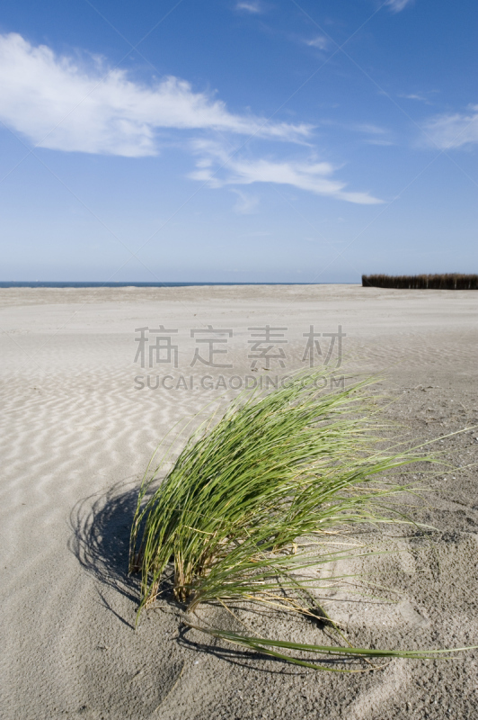 海滩,马斯弗莱克特,滨草,垂直画幅,天空,留白,沙子,无人,夏天,海岸地形