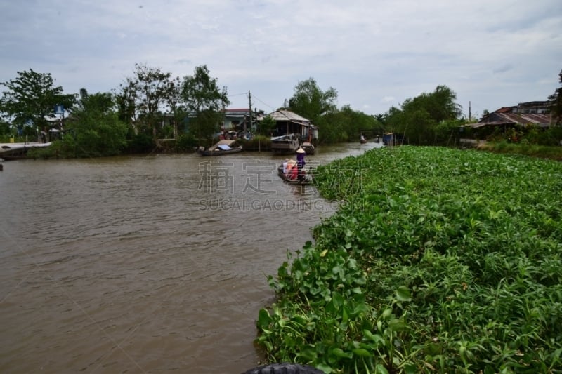 凤眼莲,湄公河三角洲,大型划船,壁脚板,海洋,旅行者,越南南部,仅一个女人,水平画幅,人