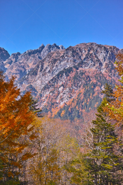秋天,看风景,梓川,松本,飞驒山脉,日本阿尔卑斯山脉,避暑圣地,垂直画幅,天空,美
