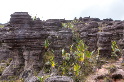 罗赖马山,平顶山区,罗赖马州,平顶山,canaima,委内瑞拉,南美,水平画幅,无人,户外