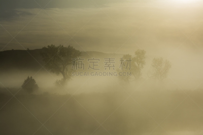 雾,水,水平画幅,林区,三叶杨,无人,北美,小溪,河流,河岸