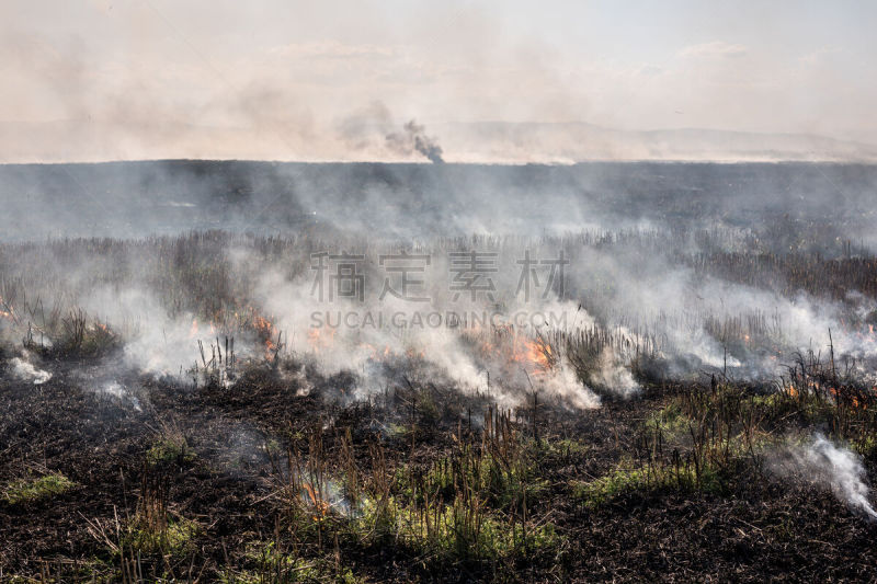 地狱火,灰,烧毁的,不幸,风,水平画幅,形状,户外,干的