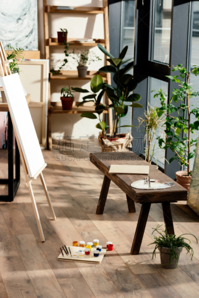 盆栽植物,室内,美术工作室,设备用品,长椅,植物群,垂直画幅,绘画插图,留白,艺术