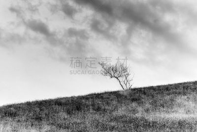 风景,山,地形,农业,一个物体,环境,死亡的植物,农场,植物,户外