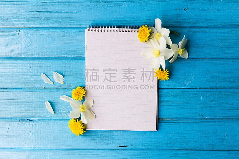 蓝色,木制,笔记本,空白的,概念,背景,春天,野花,美,留白
