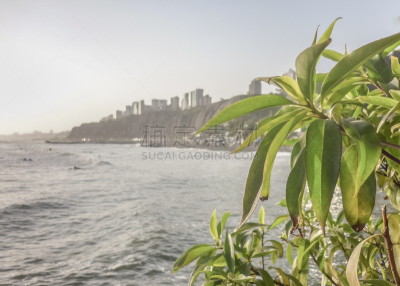 海岸线,利马,城市,圣伊西德罗修道院,新的,沟壑,水平画幅,建筑,无人,户外