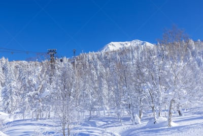 山,新旭町,雪,旭川,旅行者,戏剧性的景观,白色,高处,彩色图片,冬天