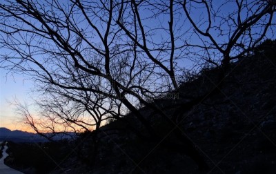 自然,西南方向,地质学,风景,亨德森,图像,内华达州,美国,干的,无人