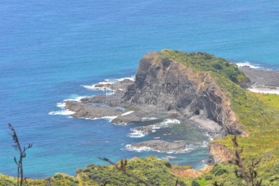 cape reinga,岩石,northland region,海浪,海岸线,波浪,植物,户外,粗糙的,新的