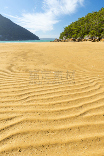 沙子,海滩,式样,维多利亚州,维多利亚,垂直画幅,水,天空,枝繁叶茂,无人