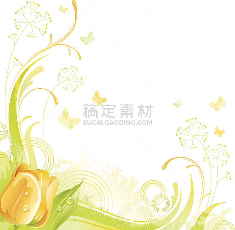 留白,郁金香,仅一朵花,方形画幅,黄色,背景,结婚请柬,芳香的,绘画插图,夏天