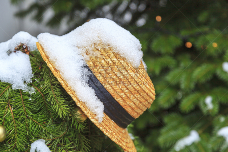 雪,草帽,寒冷,自然界的状态,草,春天,农场,屋顶,胡萝卜,户外