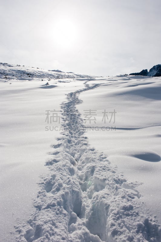 太阳,朗斯峰,穿雪鞋走路运动,垂直画幅,雪,无人,逆境,运动,冬天,科罗拉多州