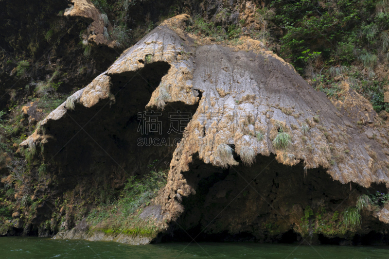 野生植物,苏米德洛峡谷,自然,水平画幅,地形,无人,户外,恰帕斯州,拉丁美洲,植物