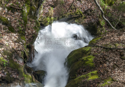 特拉法尔加瀑布,多米尼克,卡林斯亚,自然,水,水平画幅,绿色,瀑布,无人,户外
