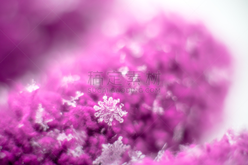 雪花,柔和,背景,风,水平画幅,雪,无人,围巾,特写,天气