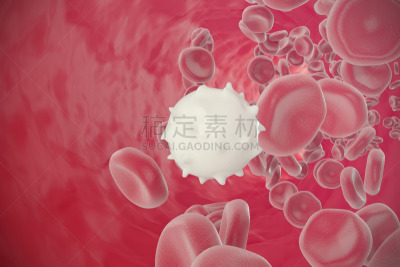 三维图形,红色,白细胞,绘画插图,血管,显微镜,水平画幅,形状,血细胞,白血病