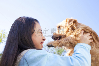 诺福克猎狐犬,户外,女孩,提举,天空,女人,水平画幅,可爱的,快乐,蓝色