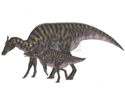 绘画插图,成年的,幼小动物,平衡折角灯,鱼苗,鸟臀目,古生物学,水平画幅,形状,食草动物