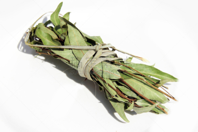 月桂树叶,芳香的,水平画幅,食品杂货,干花,干的,月桂树,特写,拉丁美洲,希腊