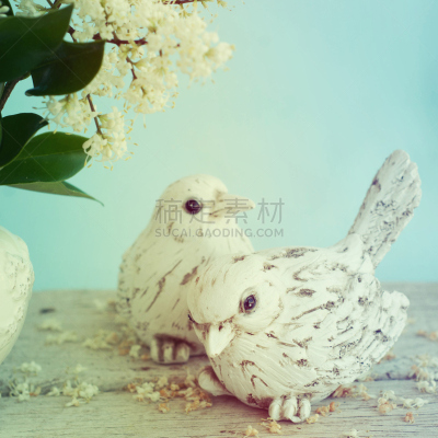 鸟类,枝,泉,花朵,自然,可爱的,无人,装饰物,浪漫,夏天