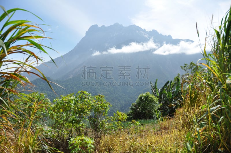 婆罗洲岛,山,天空,水平画幅,云,无人,沙巴州,户外,马来西亚,草