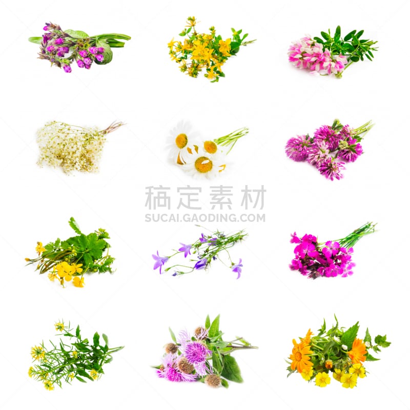 自然,草药,抽象拼贴画,分离着色,合成图像,芳香的,茶花,无人,甘菊花,牛至