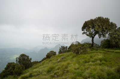 徒步旅行,埃塞俄比亚,塞米恩山脉,天空,沟壑,水平画幅,枝繁叶茂,云,山,无人