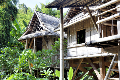 房屋,安杜兹,老挝,竹,种植园,亚洲,自然,乡村,小屋,法国