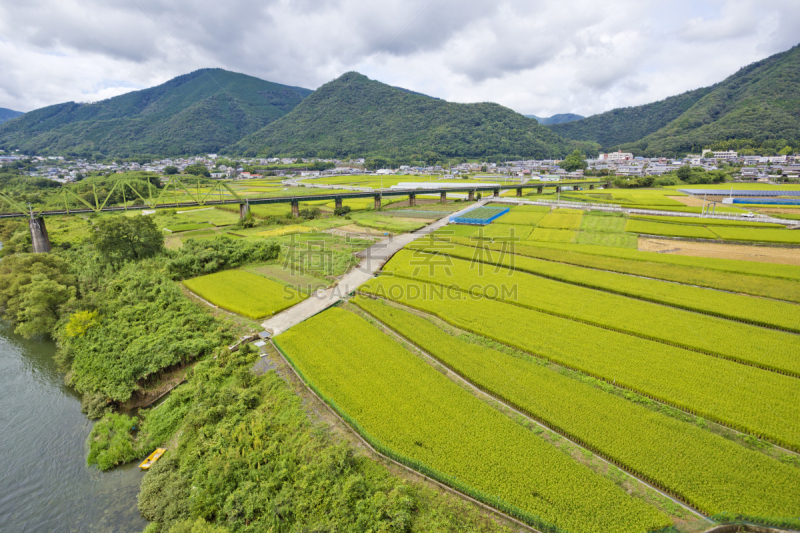 日本,四国,德岛县,稻,美,非都市风光,水平画幅,绿色,地形,祖谷
