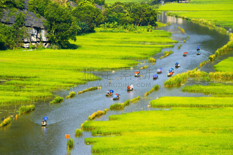 旅行者,田地,越南,河流,船,稻,三谷,宁平省,广角拍摄,迷宫游戏