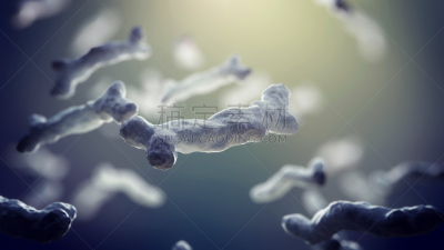 绘画插图,细菌,三维图形,不卫生的,显微镜,水平画幅,微生物学,无人,科学