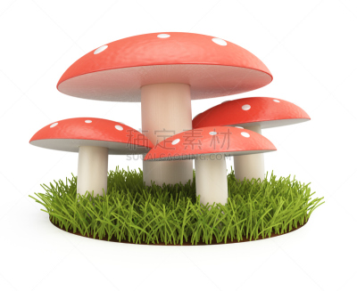 毒蘑菇,白色,自然,草坪,红色,两翼昆虫,白色背景,背景分离,图像,伞形毒菌