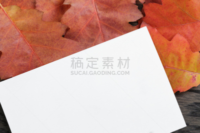 玷污的,秋天,红色,背景,橡树叶,桌子,橡树,美,贺卡,留白