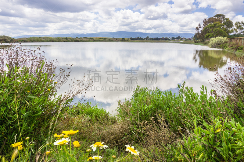 帕洛阿图,地形,旧金山湾区,公园,南,云,加利福尼亚,草,池塘,春天