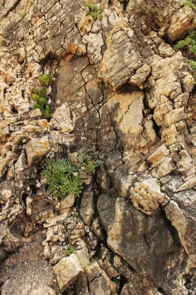 水,海滩,岩石,纹理,水晶,垂直画幅,天空,褐色,水平画幅,沙子