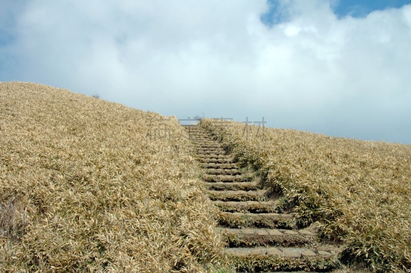 天堂,楼梯,箱根湿地植物园,箱根园,富士箱根伊豆国立公园,地形图,水,美,里山,水平画幅