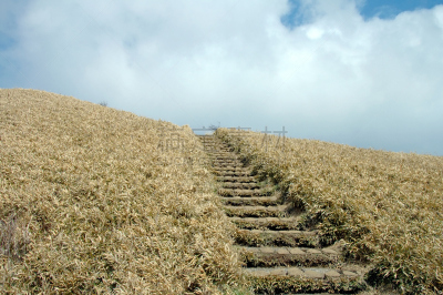 天堂,楼梯,箱根湿地植物园,箱根园,富士箱根伊豆国立公园,地形图,水,美,里山,水平画幅