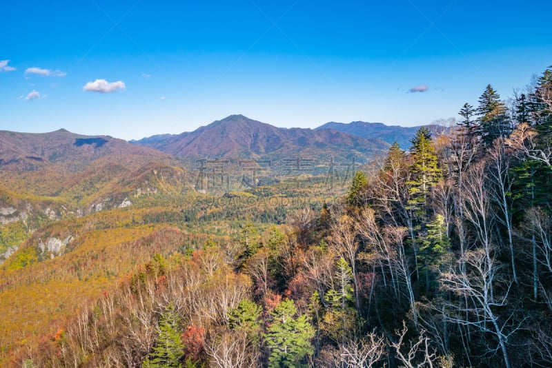 日本,山谷,风景,北海道,山,居住区,斑点,在底端,一只动物,获胜