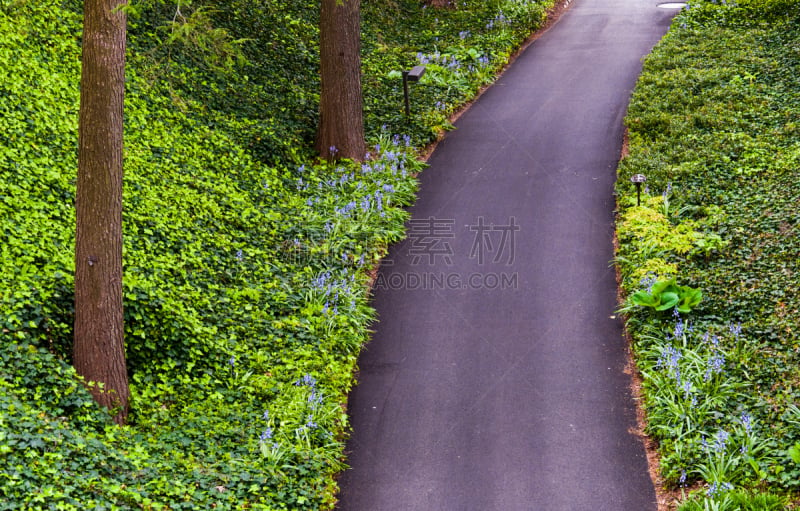 小路,树林,长木花园,往下看,自然,水平画幅,无人,蓝色,户外,植物