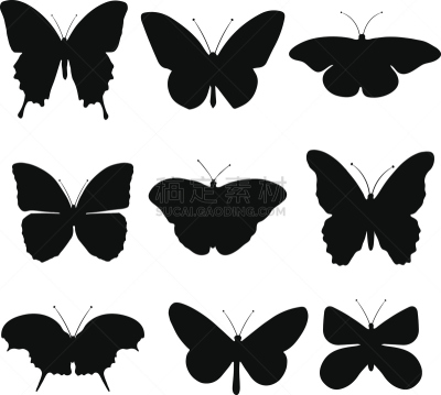 蝴蝶,黑色,数字9,轮廓,两翼昆虫,符号,多样,野生动物,图像,组物体