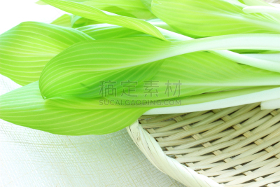 蔬菜,山,蕨类,自然,有机食品,白色背景,季节,三赛植物,清新,竹筒