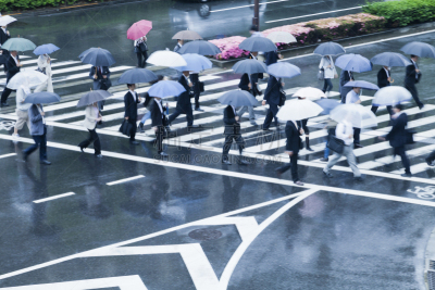 人行横道,雨,城市,高峰时间,斑马线,伞,水平画幅,交通,早晨,行人