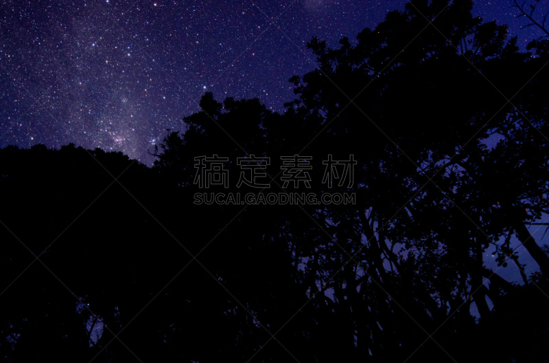 夜晚,天空,仙后座,the pleiades,银河系,水平画幅,无人,科学,户外,植物