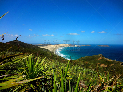 新西兰,cape reinga,看风景,水,美,水平画幅,沙子,无人,夏天,观测点