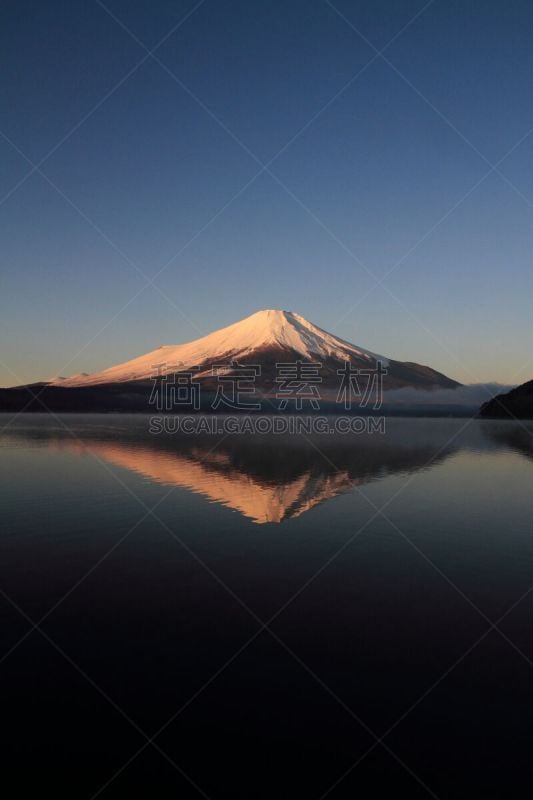 山之湖,富士山,红松,山梨县,垂直画幅,天空,雪,无人,早晨,户外