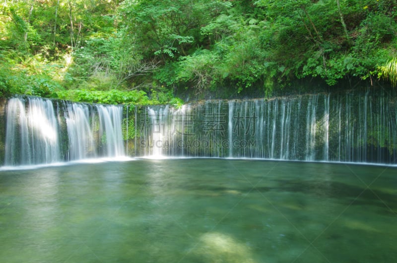 shiraito falls,轻井泽町,自然,旅游目的地,水平画幅,枝繁叶茂,瀑布,长野县,无人,日本