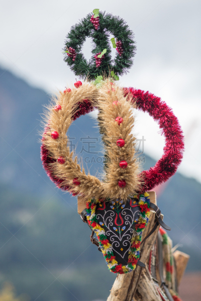秋天,华丽的,月桂花冠,垂直画幅,褐色,无人,符号,季节性牲畜移动,牛下山节,十月